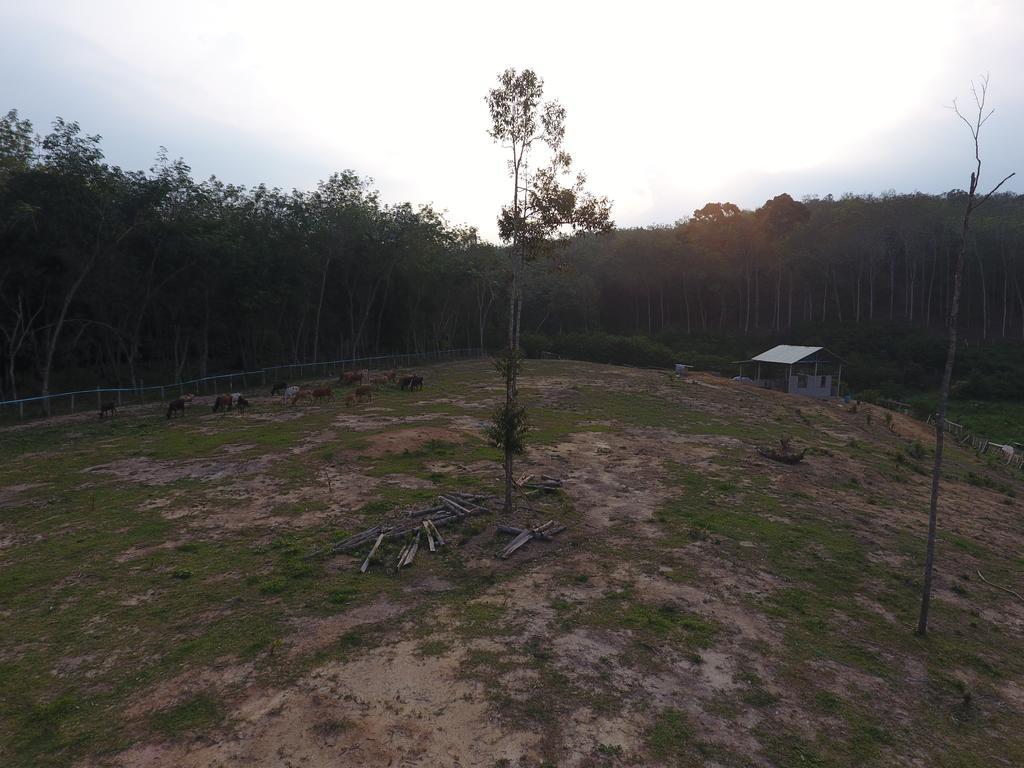 Chalet Kampong Semawar Kuala Kangsar Εξωτερικό φωτογραφία